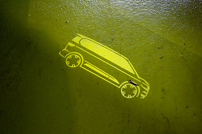 迎賓照地燈相當可愛。