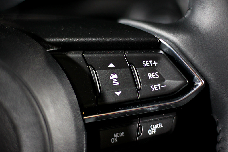 配備全速域主動車距控制巡航、前行煞車輔助、行人偵測功能的進階前行煞車輔助、盲點偵測、車道偏移警示、倒車煞車輔助。