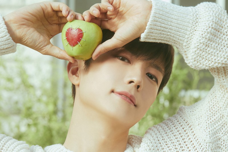 CARTURE 車勢文化