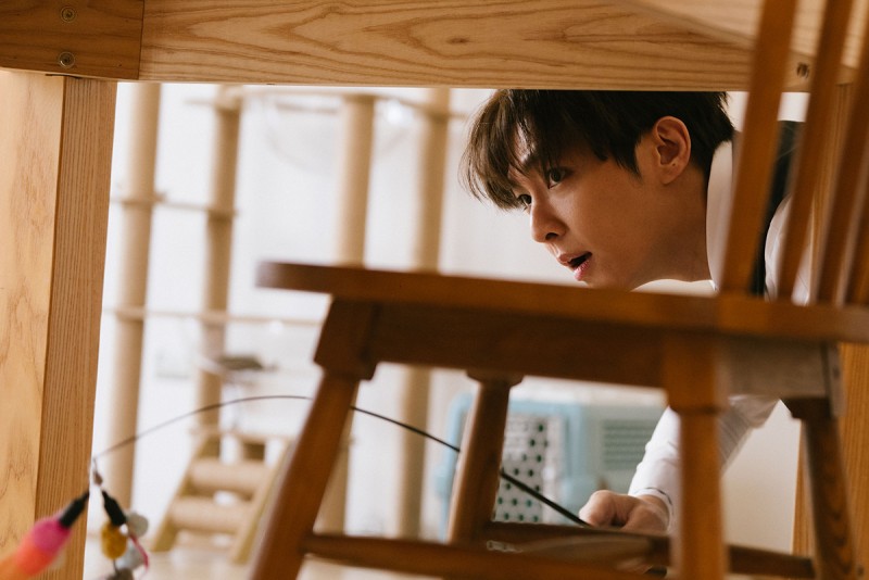 CARTURE 車勢文化