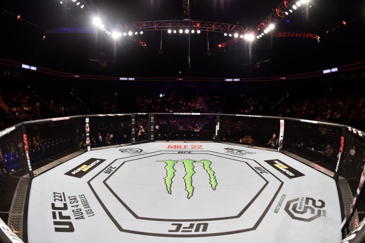 UFCファイトナイト・ハンブルク:オクタゴン【ドイツ・ハンブルク/2018年7月22日(Photo by Jeff Bottari/Zuffa LLC/Zuffa LLC via Getty Images)】