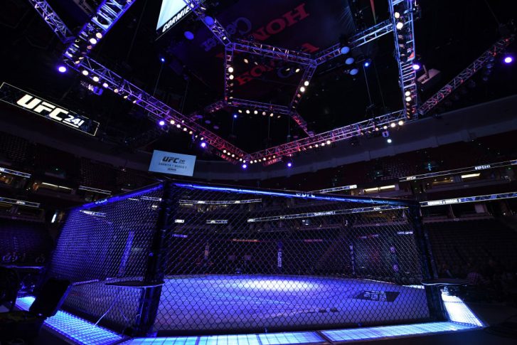 UFC 241:オクタゴン【アメリカ・カルフォルニア州アナハイム/2019年8月17日(Photo by Josh Hedges/Zuffa LLC/Zuffa LLC via Getty Images)】