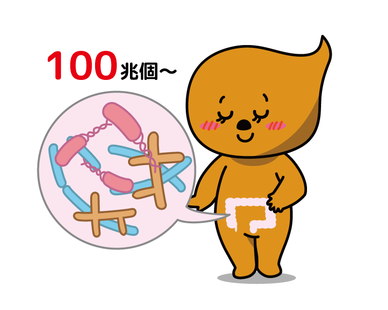 腸内フローラとは?