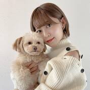 スマホでも綺麗