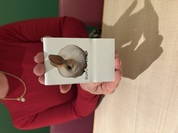 仕上がり最高です