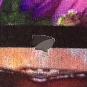 画像の貼り付けに注意かな…