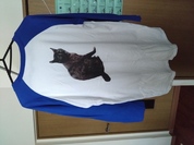 印刷の色味が暗かった。