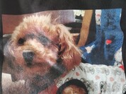 すてきなTシャツ