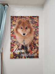 とても綺麗に仕上げて頂きました