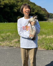 ワクワクします