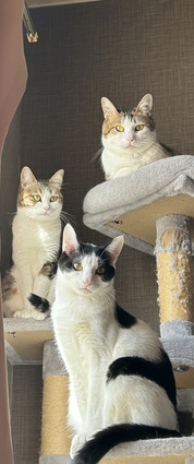 とても良かったです！