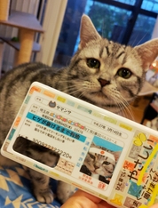 楽しくオリジナルグッズ作成！