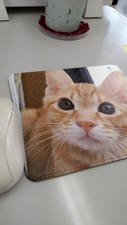 想像以上でした