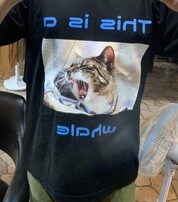 クオリティ高い