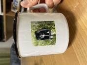 とっても気に入りました