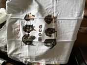 わんこのtシャツ