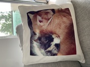 プリントがとってもきれい