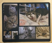 マウスパッド、追加注文