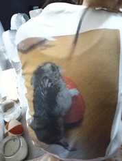 スムーズに注文出来てすぐに届きました!