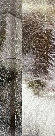 迅速な対応が良いです。