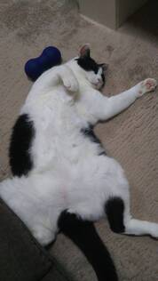 大変好評頂きました