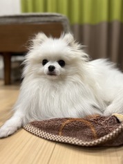 安い早い優しい