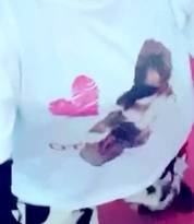 思っていた以上に良かった