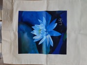 写真が綺麗にプリントされます！