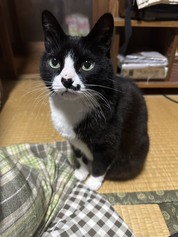 良かったです。