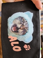 サイコーです！！