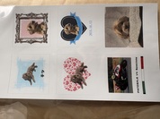 オリジナルステッカー