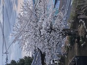 サイズ交換絶対不可