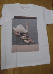 さっそくお届け頂き有難うございます。