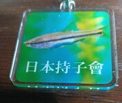 ぜひオススメします！