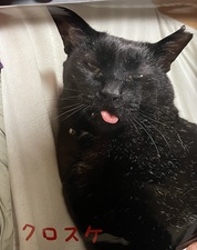 とても綺麗な画像でした