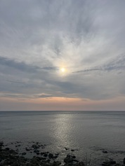 今回は残念でした