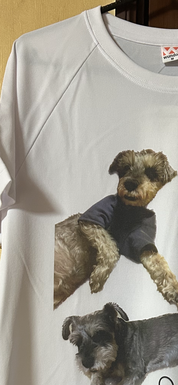 めっっっちゃ可愛い