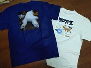 Tシャツ作成の感想