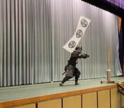 葵御紋のぼり旗