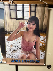 写真も鮮明で満足してます