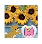 ハンカチタオル