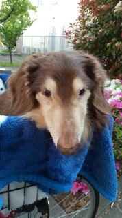 ありがとうございます(*´∀｀*)♪