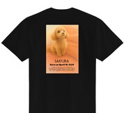 リピーターです!