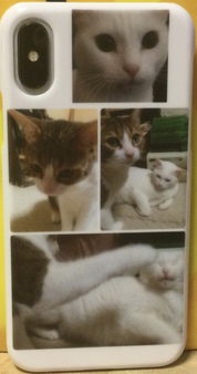 作れるのに安い！