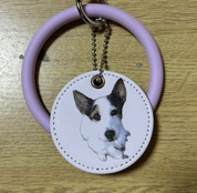 期待通りの仕上がり