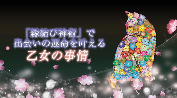 乙女の事情