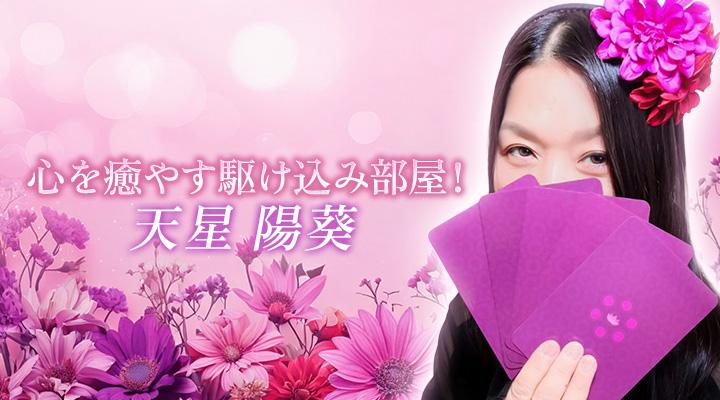天星 陽葵