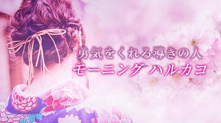 モーニング ハルカコ