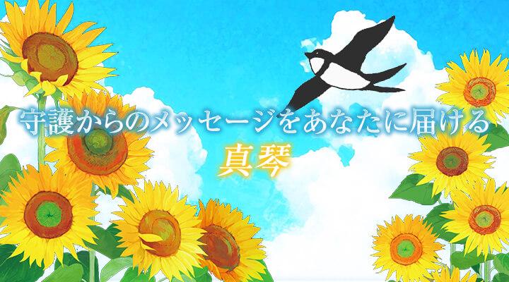 真琴