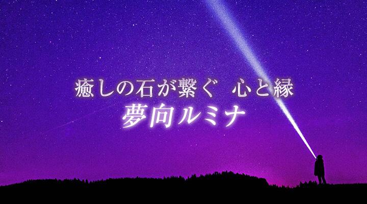 夢向ルミナ